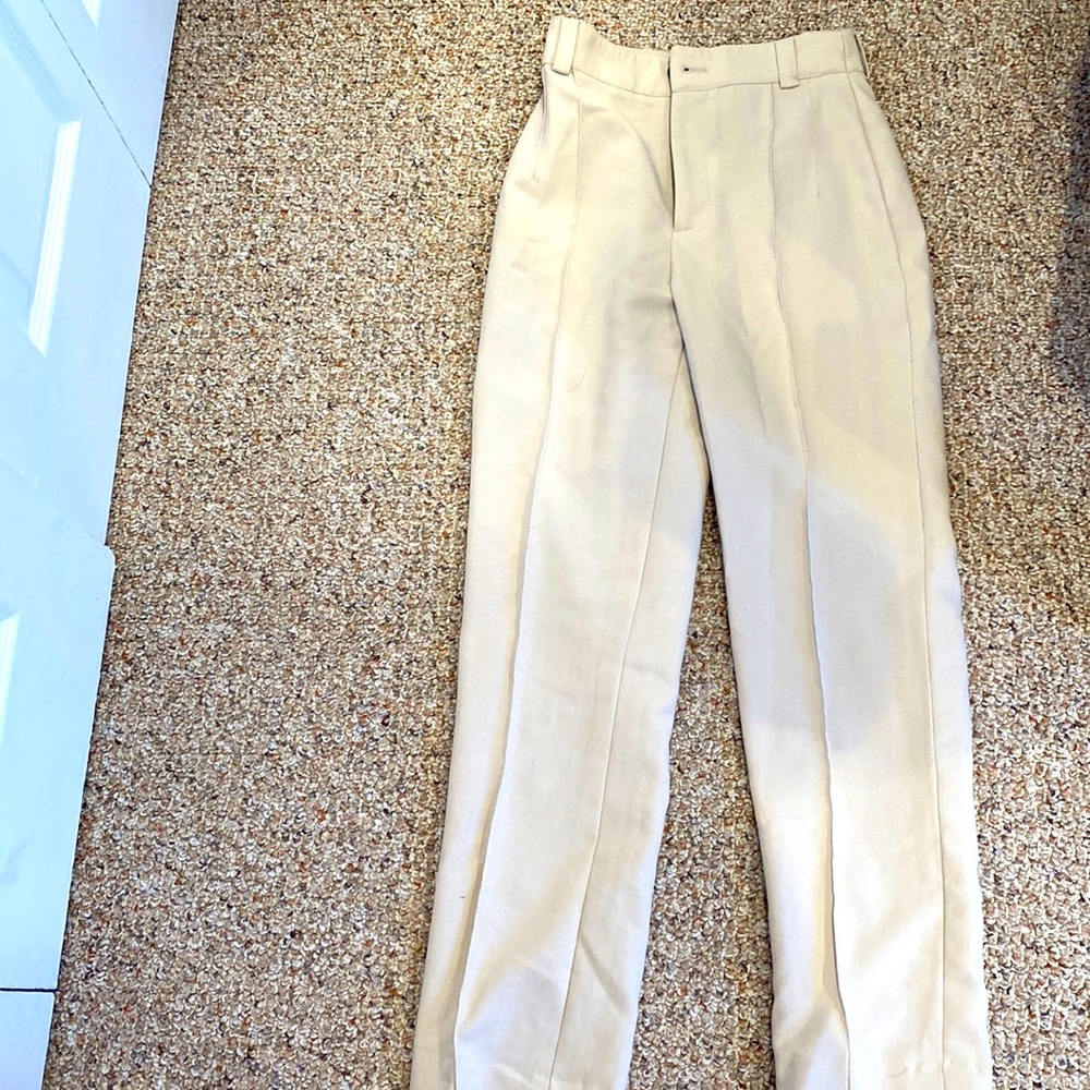 Fitted Zara  full length. Francoise pants